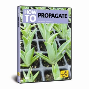 How To Propagate
