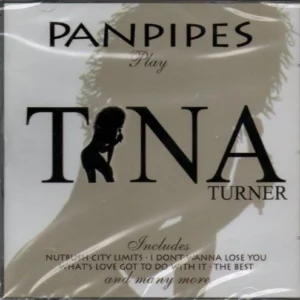 Panpipes Play Tina Turner