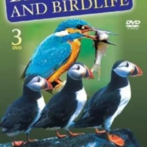 British Birds & Birdlife Box Set