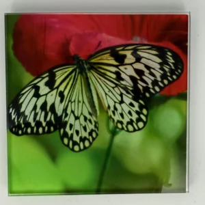 Butterfly Coaster Glass – Heat Resistant & Decorative