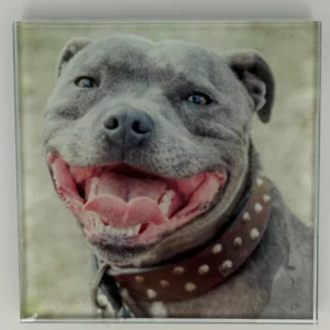 Staffy Coaster Glass – Heat Resistant & Decorative