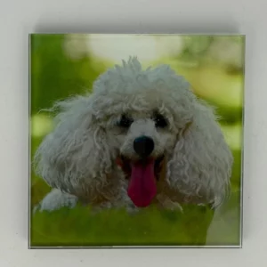 White poodle Coaster Glass – Heat Resistant & Decorative