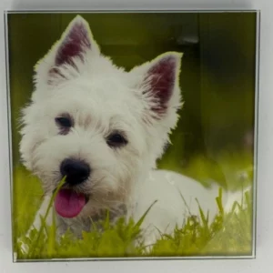 West Highland White Terrier Coaster Glass – Heat Resistant & Decorative