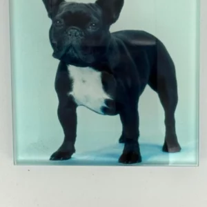 French Bulldog Coaster Glass – Heat Resistant & Decorative