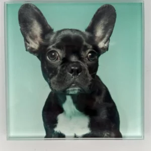 French Bulldog Coaster Glass – Heat Resistant & Decorative