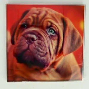 Dogue de Bordeaux Coaster Glass – Heat Resistant & Decorative