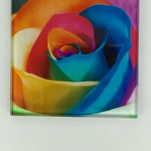 Multicoloured Rainbow Rose Coaster Glass – Heat Resistant & Decorative