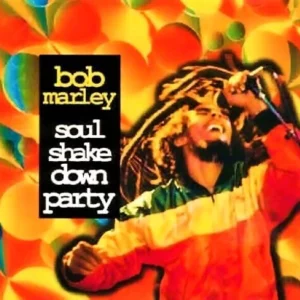 Soul Shake Down Party