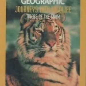 NATIONAL GEOGRAPHIC-TIGERS OF THE SNOW