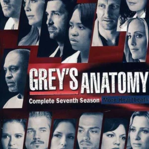 Grey's Anatomy: The Complete Seven