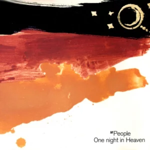 One Night In Heaven