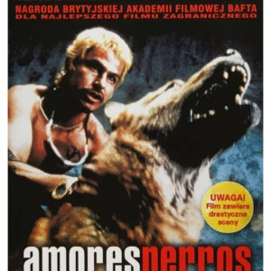 Amores perros