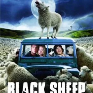 Black Sheep