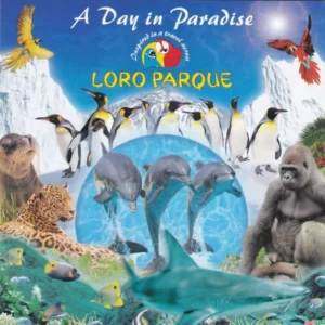 A Day In Paradise