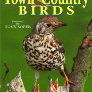 A Guide to Town & Country Birds