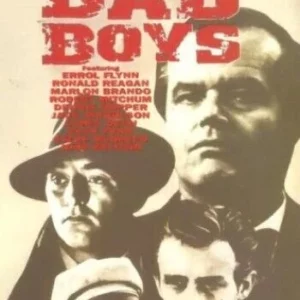 Hollywood Bad Boys