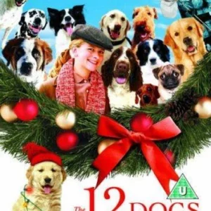 The 12 Dogs Of Christmas