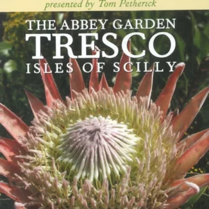 The Abbey Garden Tresco Isle of Sicily