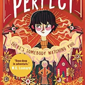 The Trouble With Perfect