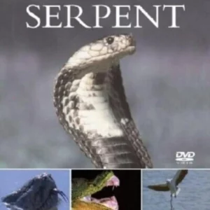 Wildlife Specials: Serpent