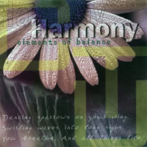 Harmony-Elements of Balance