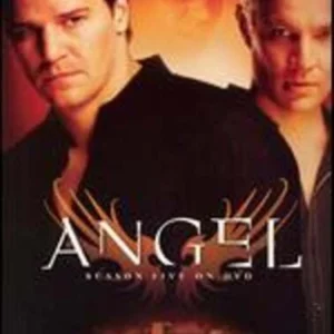 Angel: Season 5 [DVD] [2000] [Region 1] [US Import] [NTSC]