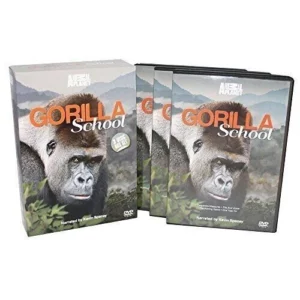 Gorilla School
