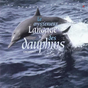 Le Mystérieux Langage Des Dauphins