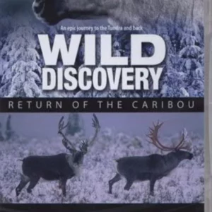 Return of the Caribou