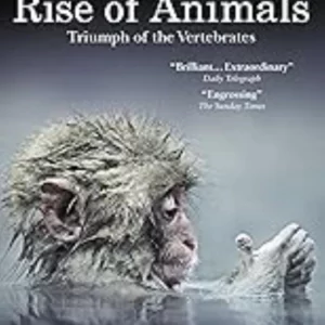 Rise of Animals: Triumph of the Vertebrates