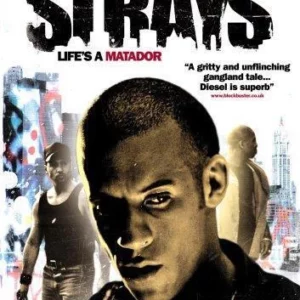 Strays
