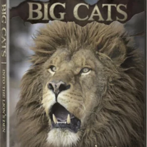 BIG CATS: Into The Lion's Den