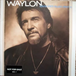 Waymore's Blues (Part II)