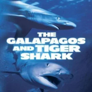 Shark Attack - The Galapagos And Tiger Shark