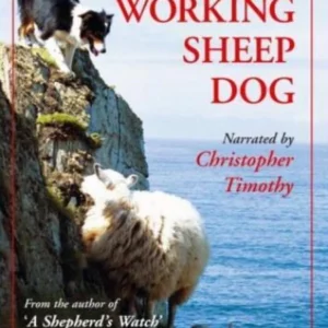 The Year of the Working Sheepdog