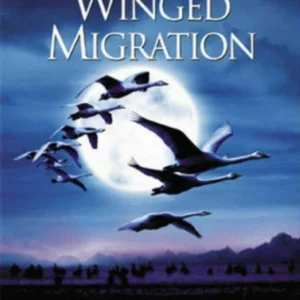 Winged Migration