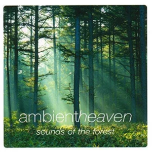 Sounds Of The Forest