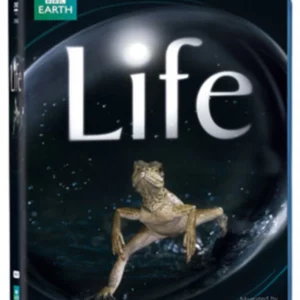 Life