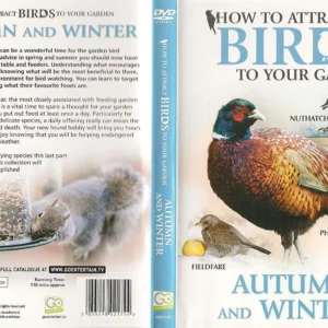 How To Attract Birds To Your Garden: Autumn And Winter