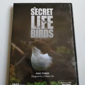 The Secret Life of Birds, Designed for a Welsh Life