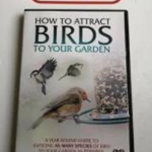 How to Attract Birds to Your Garden
