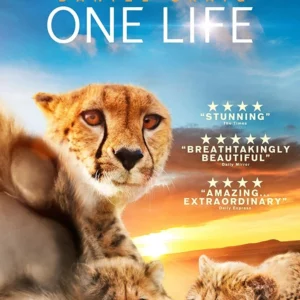 One Life