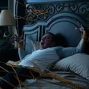The Fanatic DVD (2019)