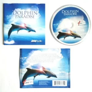 Dolphin Paradise