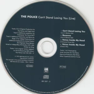Can't Stand Losing You (Live)