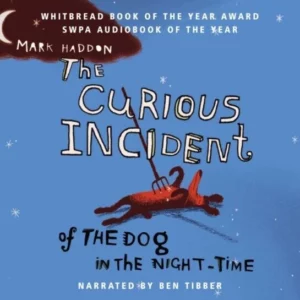 The Curious Incident of the Dog in the Night-time