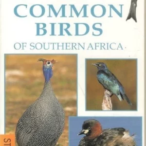 Common Birds of Southern Africa