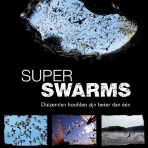 Superswarms
