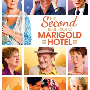 The Second Best Exotic Marigold Hotel