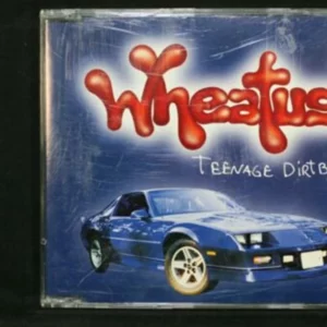 Teenage Dirtbag